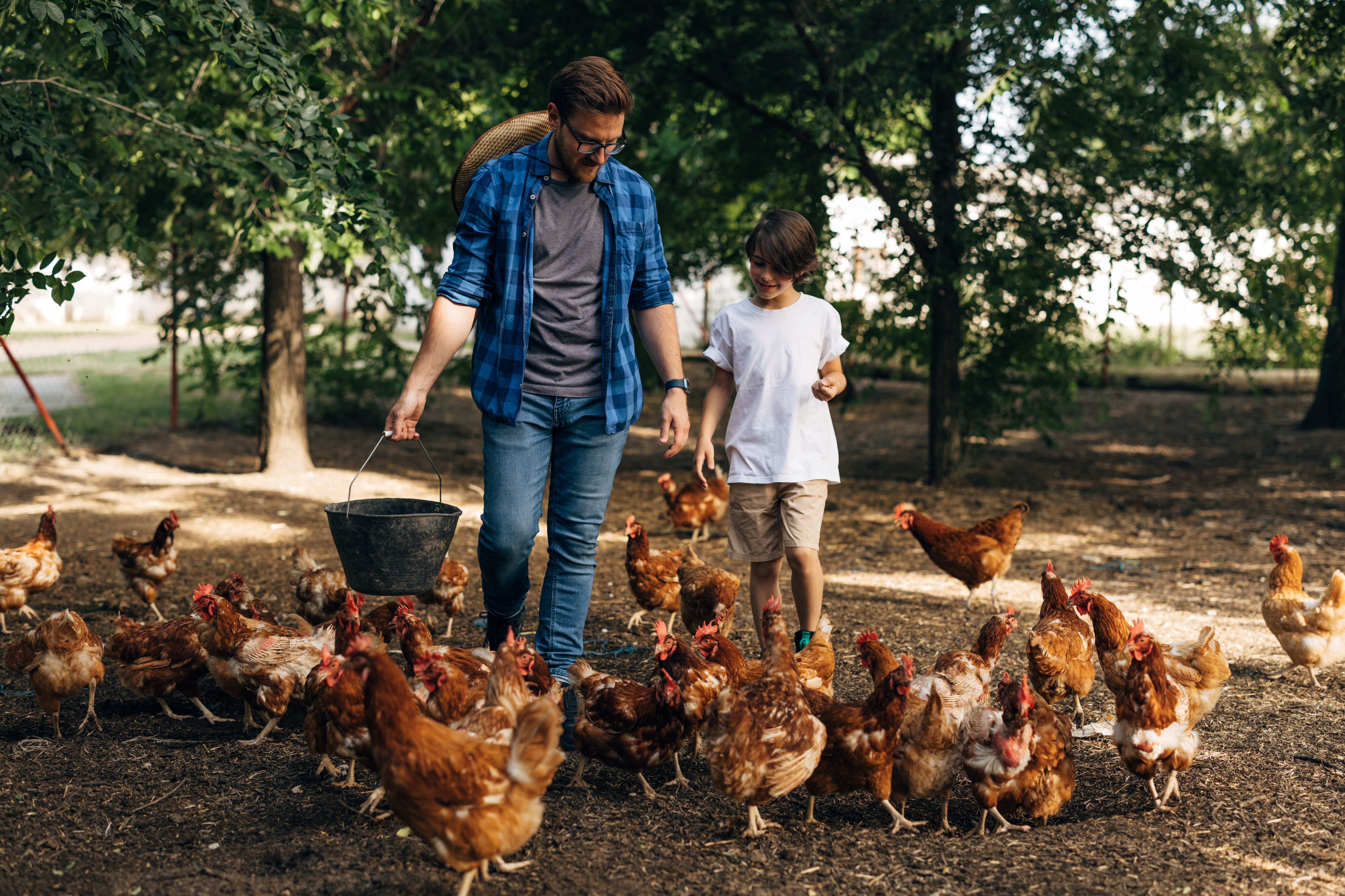 Poultry Club