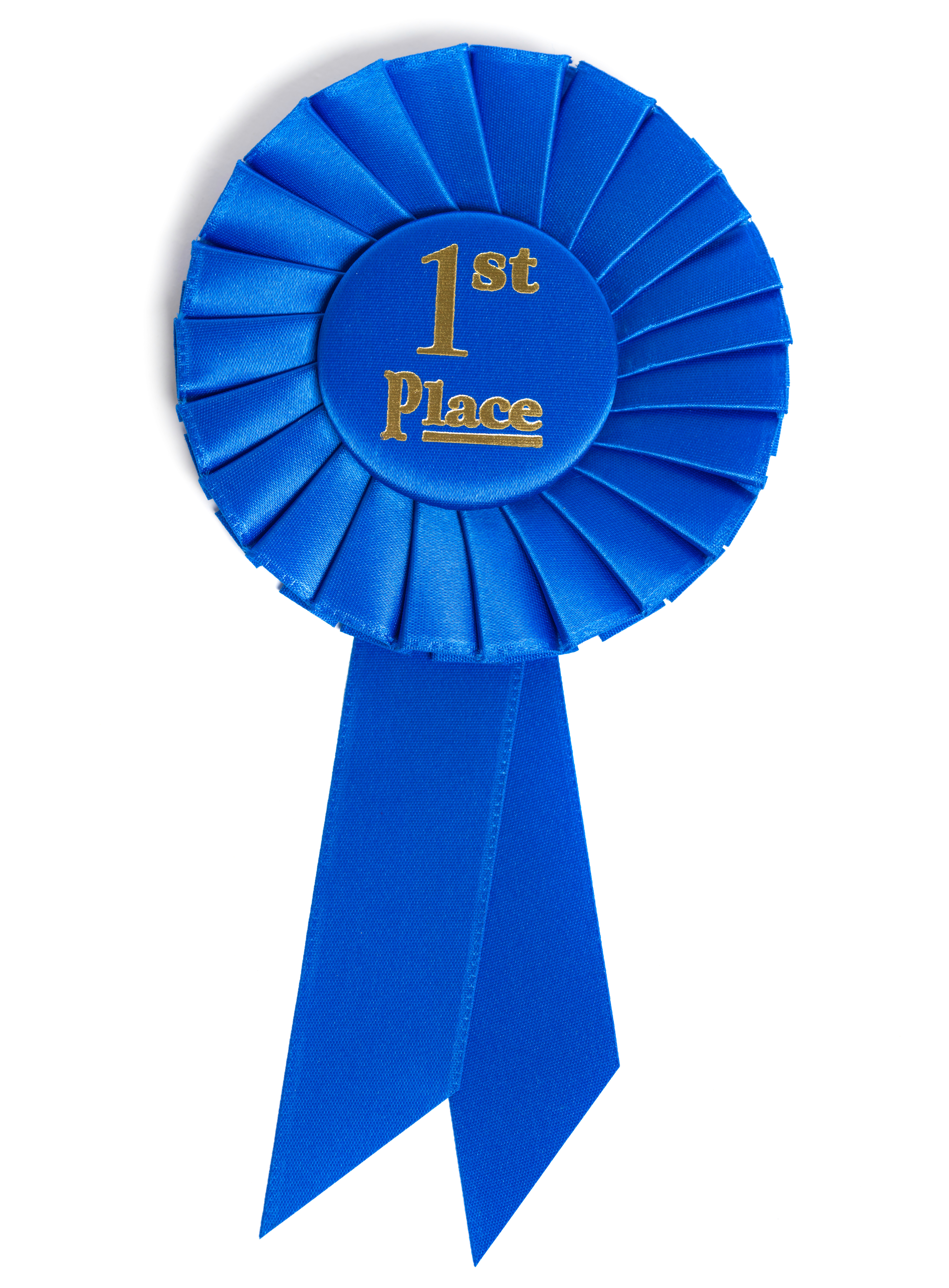 Blue Ribbon First Place