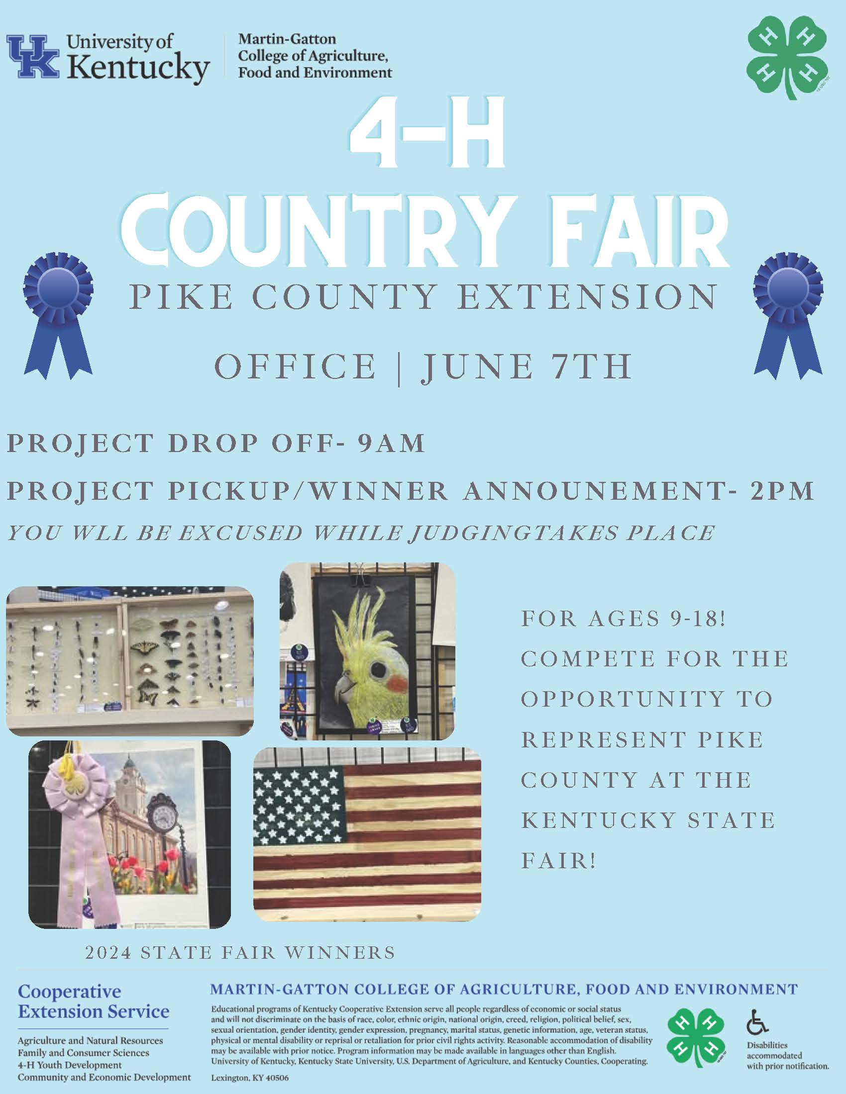 4-H County Fair