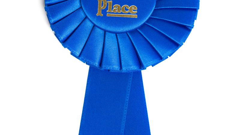 Blue Ribbon First Place